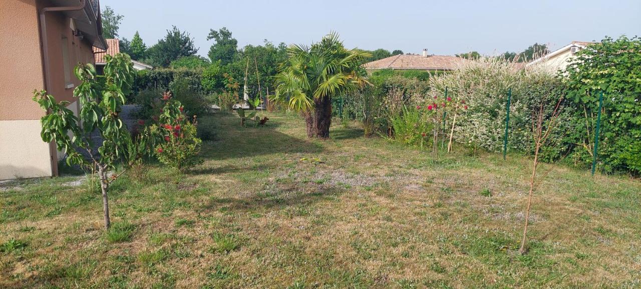 Gite Des Pins Aureilhan  Экстерьер фото